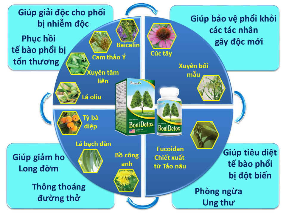 Công thức toàn diện của BoniDetox