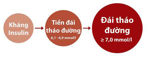 Tìm hiểu về tình trạng rối loạn đường huyết