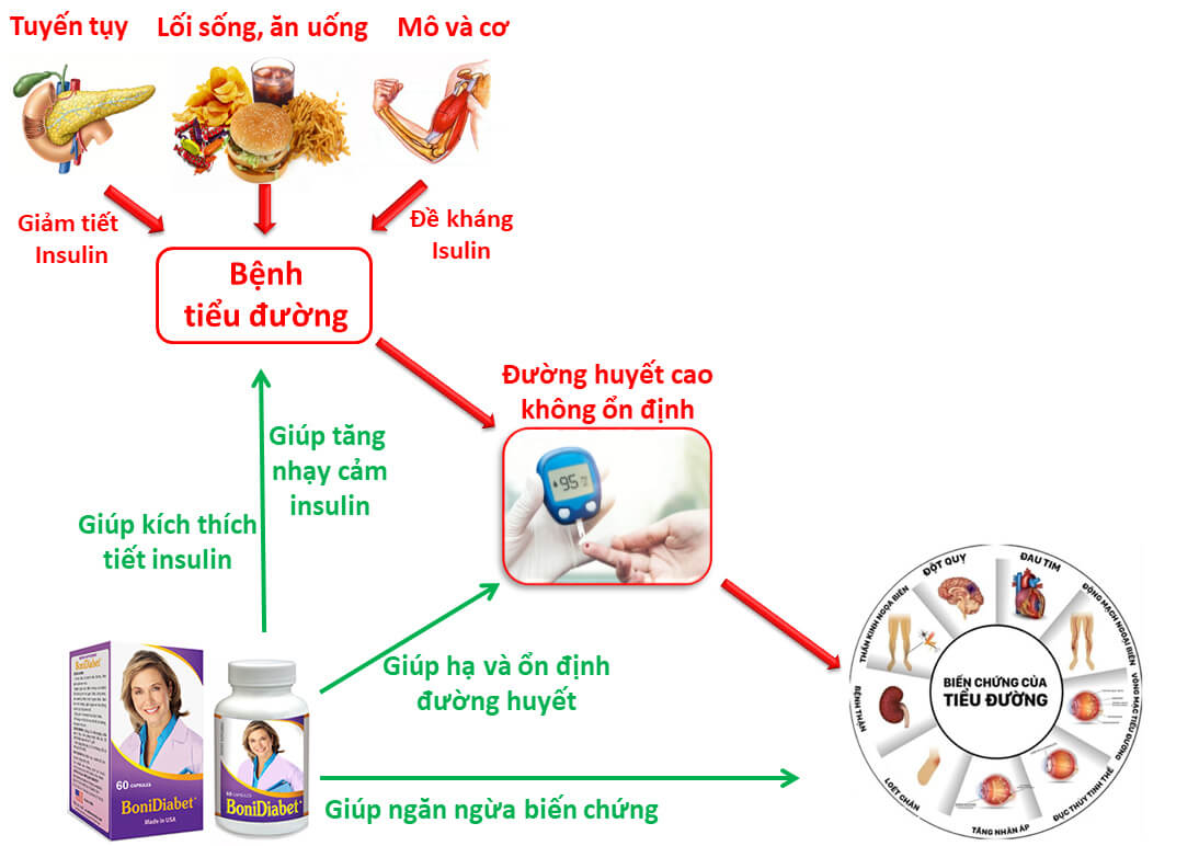 BoniDiabet tác động toàn diện giúp hạ và ổn định đường huyết, ngăn ngừa biến chứng tiểu đường