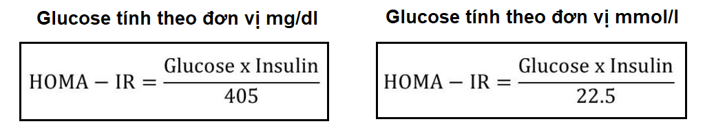 Cách tính chỉ số Homa IR