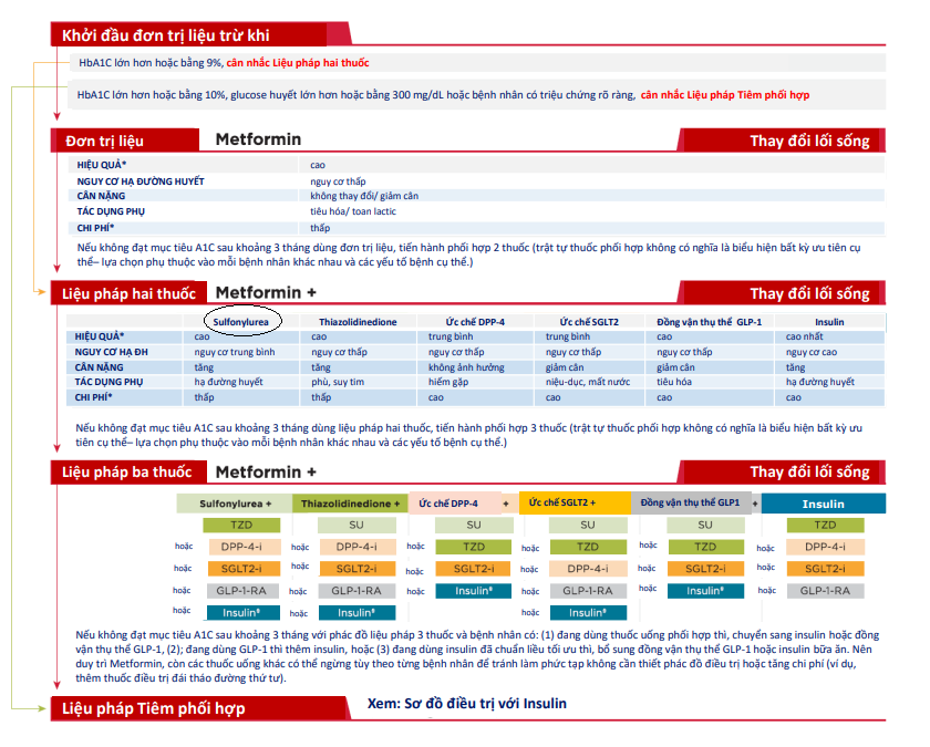  Sulfonylurea được sử dụng phối hợp cùng Metformin trong hướng dẫn điều trị đái tháo đường typ 2 của Bộ Y tế