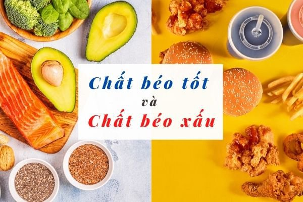 Lựa chọn nguồn cung cấp lipid tốt cho sức khỏe