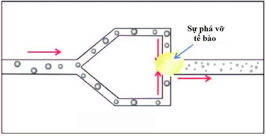 Mô phỏng công nghệ Microfluidizer