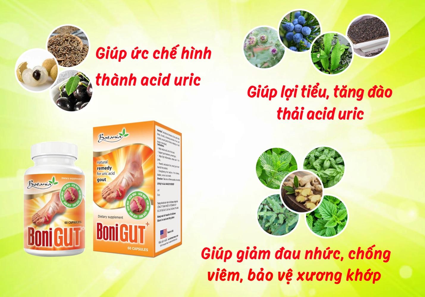 Thành phần của sản phẩm BoniGut+.