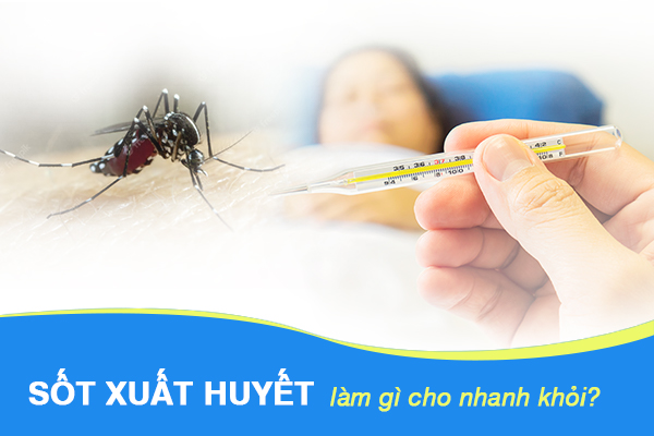 Sốt xuất huyết làm gì cho nhanh khỏi? Dấu hiệu cho thấy bạn đã khỏi bệnh